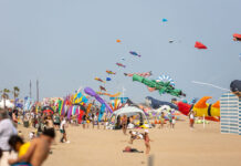 Natur’Ailes 2026 : Narbonne-Plage voit les choses en grand pour les 10 ans du festival