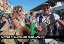 REPORTAGE | À Sète, la coquille Saint-Jacques fait le bonheur des gourmands sous le soleil
